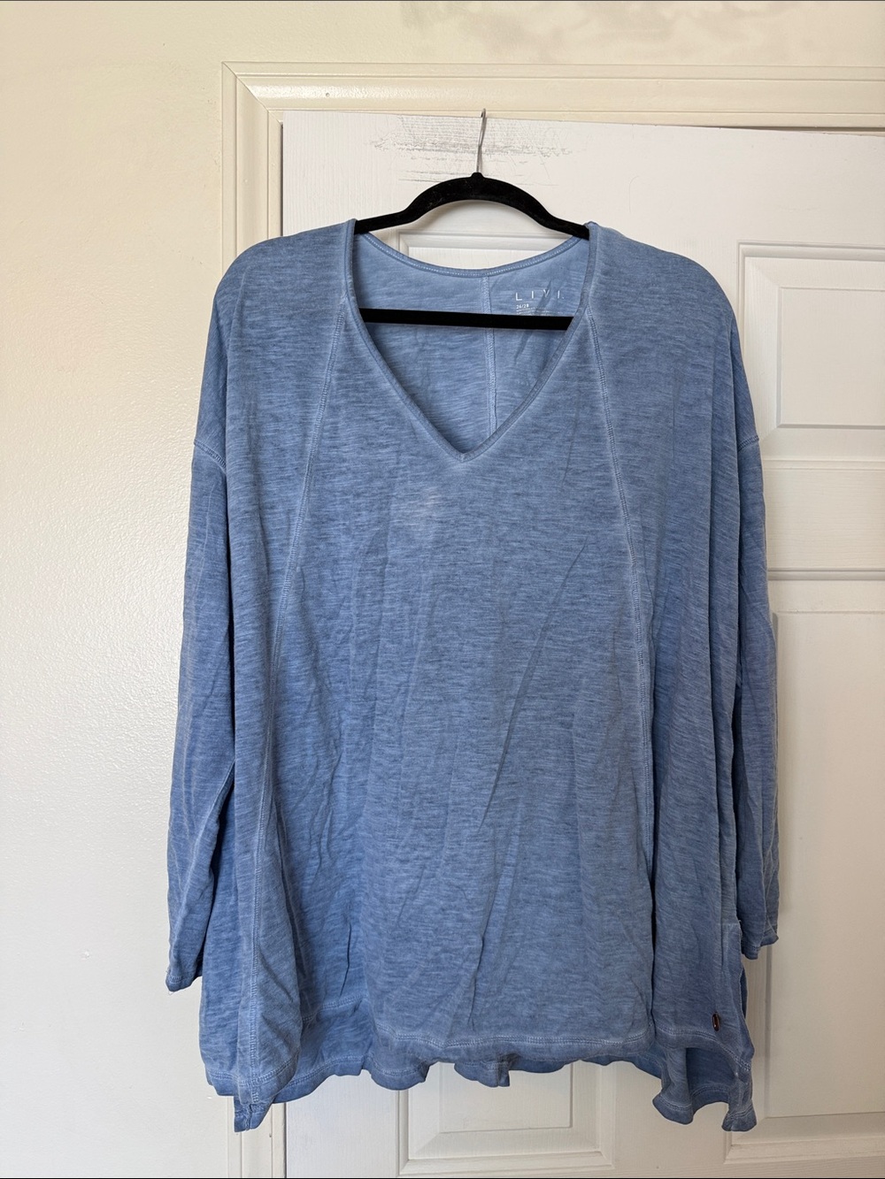 Livi Active Light Blue V-Neck Long Sleeve Top